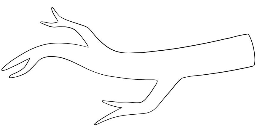The design for the branch.